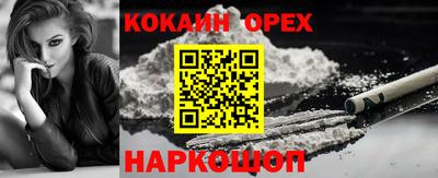 сатива Тверь