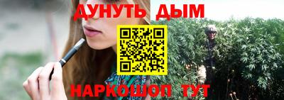 сатива Тверь