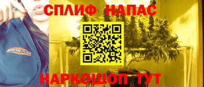сатива Тверь
