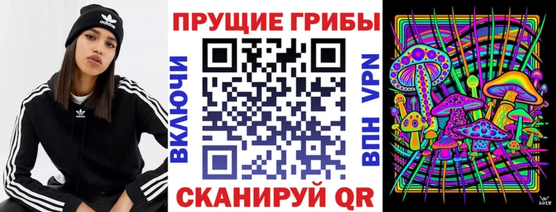 OMG зеркало  Партизанск  Галлюциногенные грибы прущие грибы 