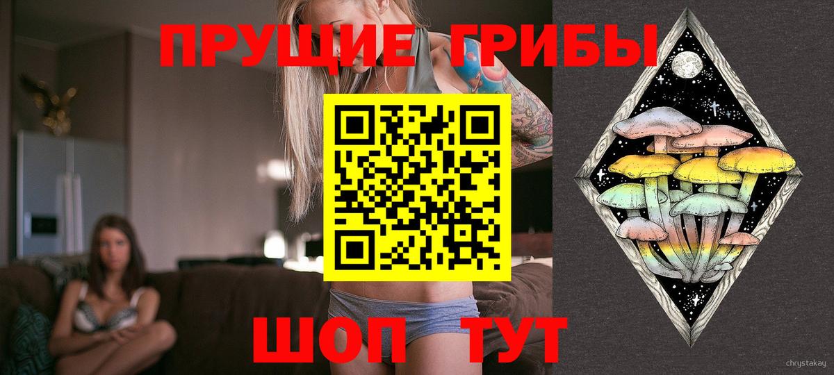 ГАШ  Вход с VPN  Партизанск  Меф   Канабис 
