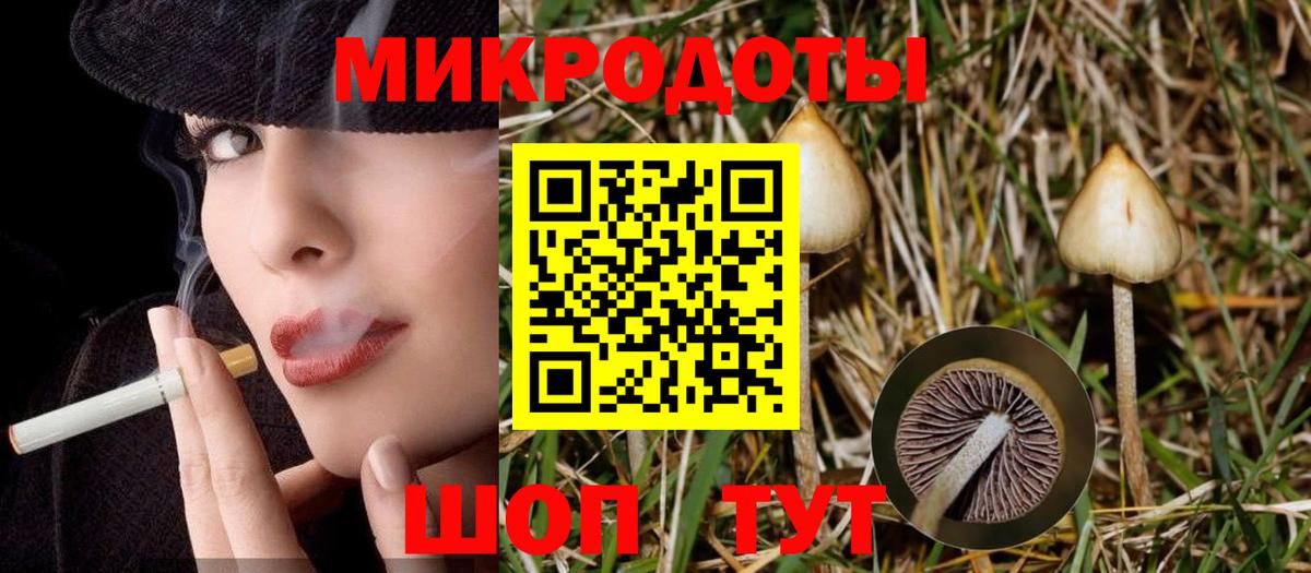 Партизанск  Псилоцибиновые грибы мухоморы  Вход с VPN 